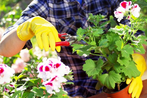 Gardener preparing mowing equipment in a park