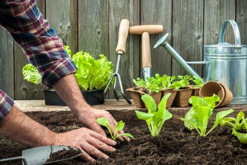 Experienced team maintaining a lush garden