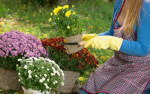Gardener testing soil quality in Finsbury Park