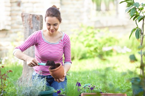 Professional landscaping services at work
