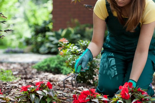 Local climate influencing garden maintenance in Finsbury Park