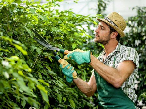 Water feature adding charm to Finsbury Park garden