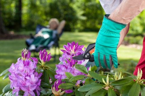 Diverse plant selection for a vibrant garden