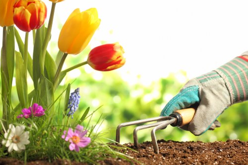 Expert lawn care professionals at work