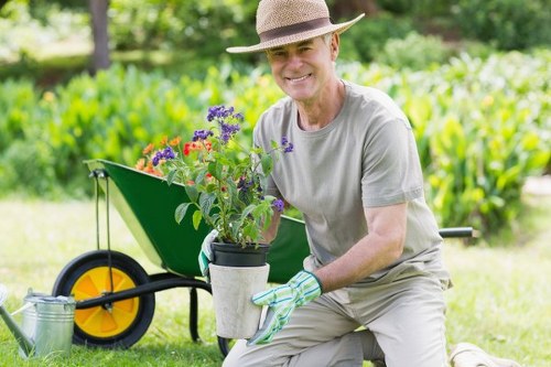 Choosing the right lawn care service in Finsbury Park