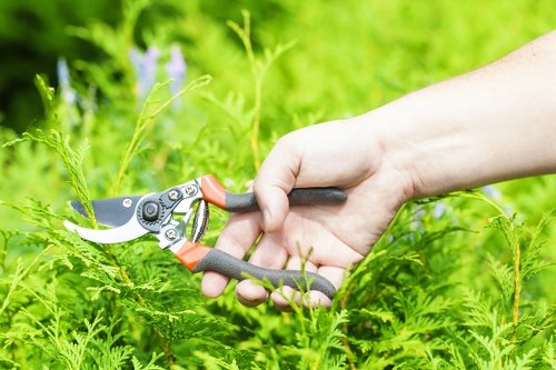 Best practices for mowing your lawn in Finsbury Park