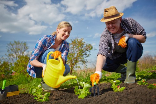 Eco-friendly lawn care techniques in action