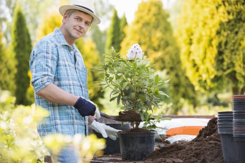 Tree maintenance work in Finsbury Park