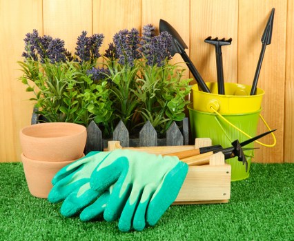 Professional gardener trimming shrubs in Finsbury Park