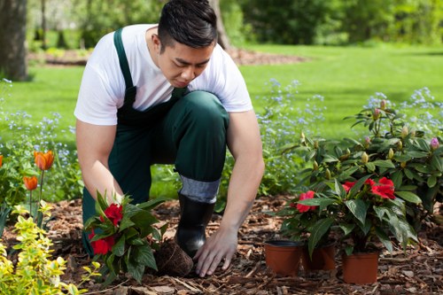 Expert team mowing a residential lawn in Finsbury Park